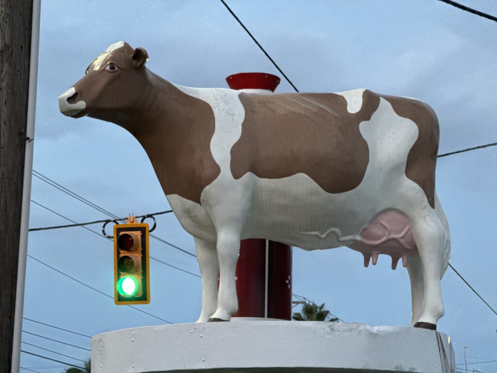 A statue of a cow (Bessie the Coburg Cow) on a platform in the West Ashley area of Charleston, SC.